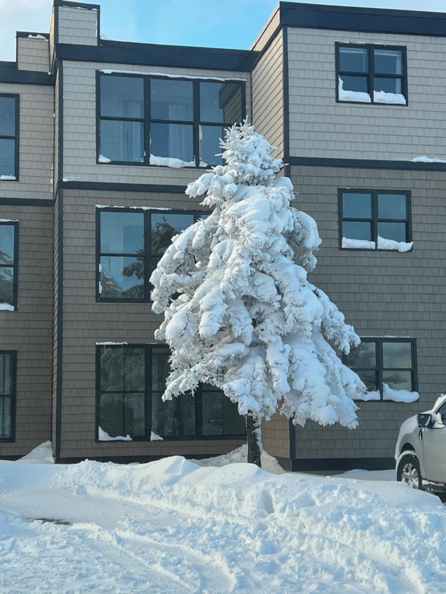 Snowcrest Condo Walking Distance To Slopes Сноушу Екстериор снимка